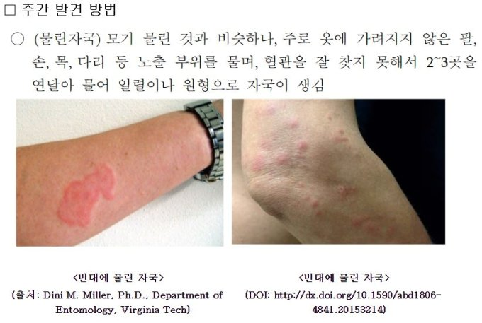 빈대(베드 버그), 벼룩, 모기, 진드기, 좀벌레, 집게벌레, 개미, 거미, 벌, 이 : 무는 벌레 10종 총정리 + 퇴치방법
