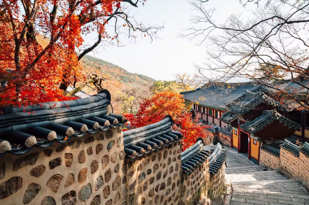 [Travel/Souvenir] What you must buy best 7 in Busan, Korea - picked by a Busanian