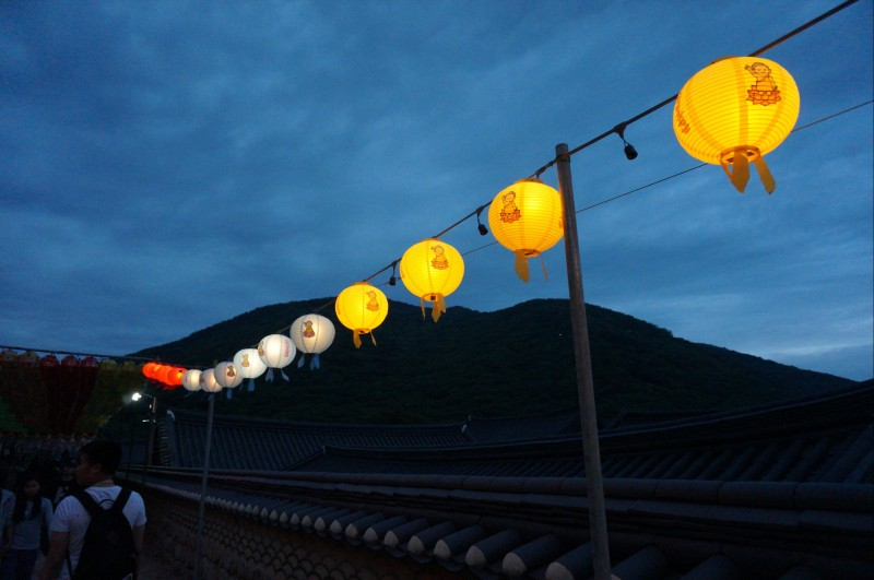[Travel/Souvenir] What you must buy best 7 in Busan, Korea - picked by a Busanian