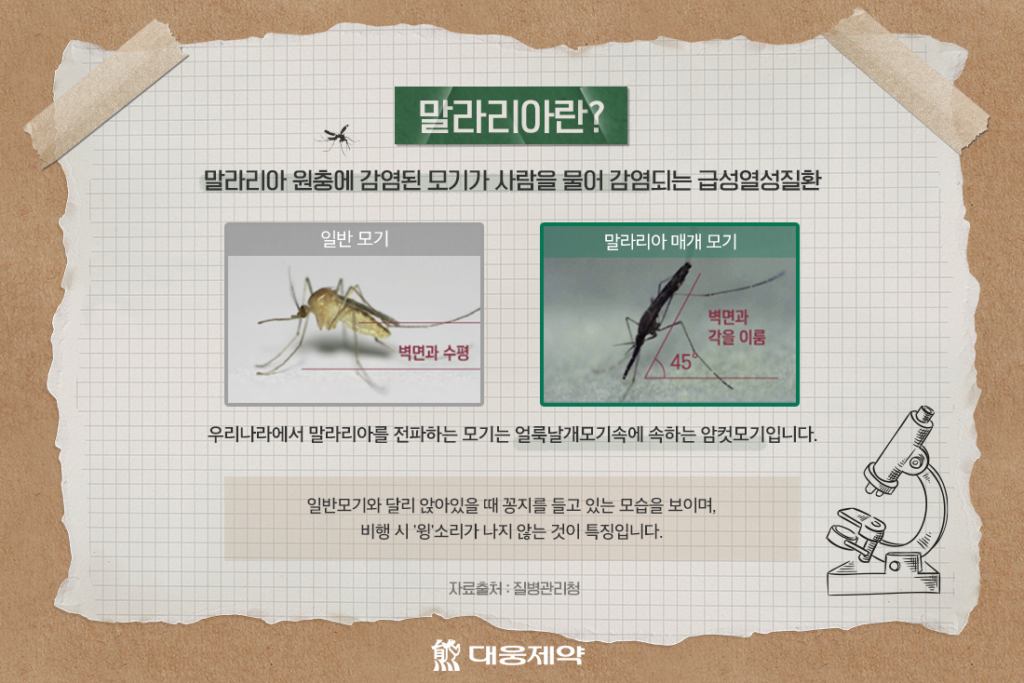 말라리아 모기: 무료 진료, 예방법, 대처법, 치료법 등 종합 안내 3 말라리아 모기: 무료 진료, 예방법, 대처법, 치료법 등 종합 안내
