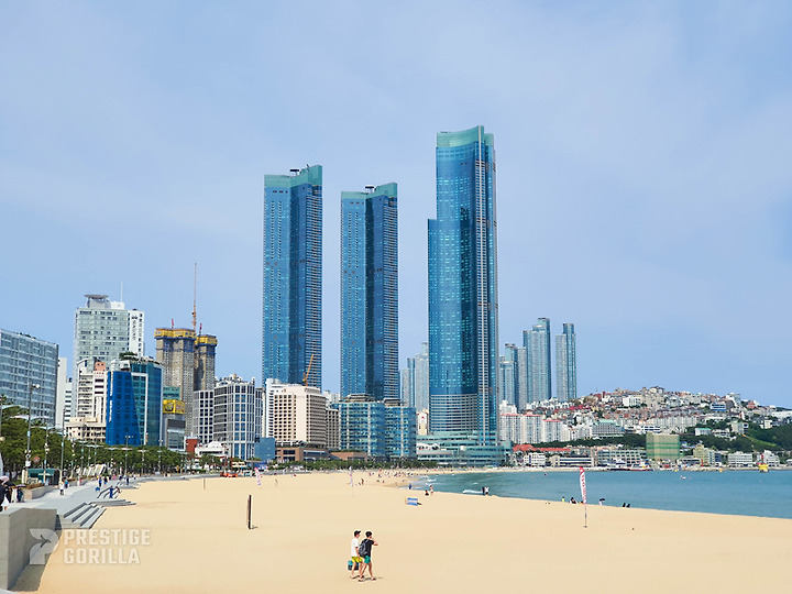 [Busan Hotel] Lotte Signiel Hotel Review (Out of my own pocket review)