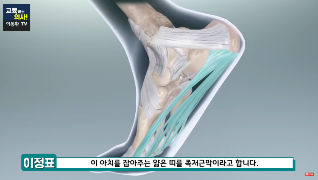 족저근막염: 발 통증 원인, 예방법, 나쁜 자세, 치료 및 스트레칭 방법 3 족저근막염: 원인, 예방법, 나쁜 자세, 치료 및 스트레칭 방법
